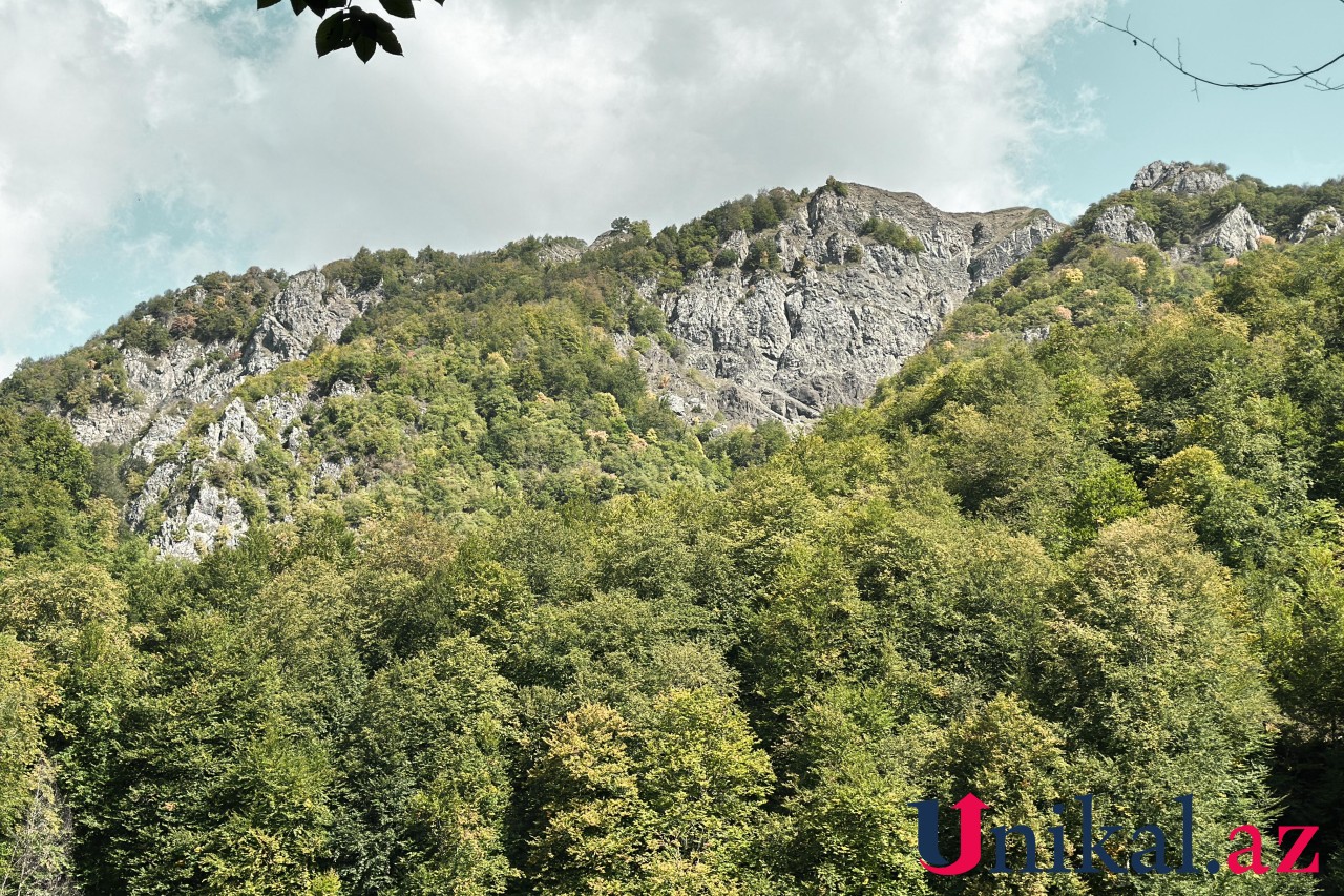 Adı "qara", özü cənnət - FOTOLAR